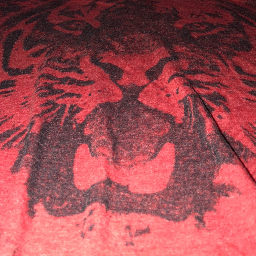 🐯